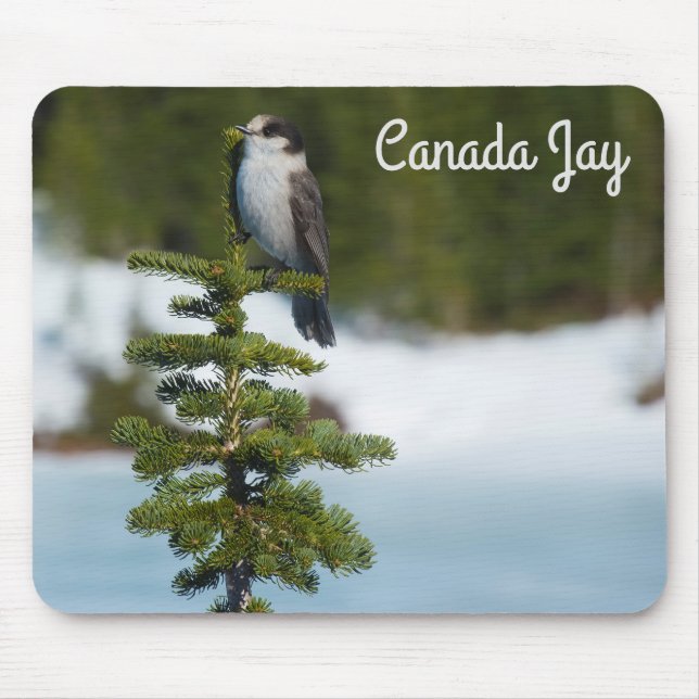 Canada Jay Mouse Mat (Front)