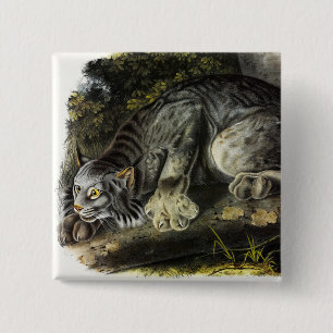 Canada Lynx (Lynx Canadensis) (Canadian Lynx) 15 Cm Square Badge
