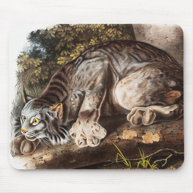 Canada Lynx (Lynx Canadensis) Illustration Mouse Mat (Front)