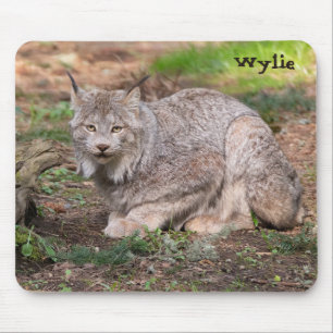 Canada Lynx Nature Lover Custom Name Mouse Mat