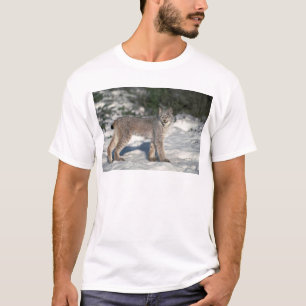 Canada lynx on snow T-Shirt
