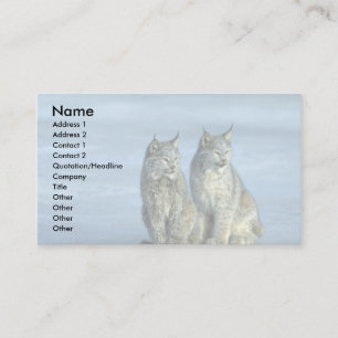 Canada lynx, winter, pair by icy stream business card