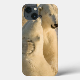 Canada, Manitoba, Hudson Bay, Churchill. iPhone 13 Case