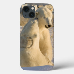 Canada, Manitoba, Hudson Bay, Churchill. iPhone 13 Case