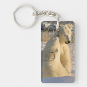 Canada, Manitoba, Hudson Bay, Churchill. Key Ring
