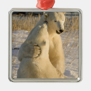 Canada, Manitoba, Hudson Bay, Churchill. Metal Tree Decoration