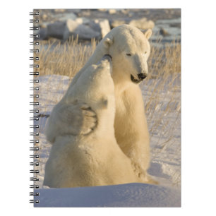 Canada, Manitoba, Hudson Bay, Churchill. Notebook