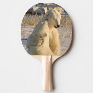 Canada, Manitoba, Hudson Bay, Churchill. Ping Pong Paddle