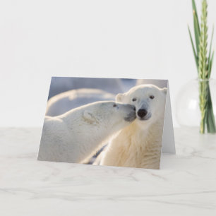 Canada, Manitoba, Hudson Bay, Churchill. Polar Card