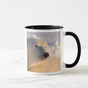 Canada, Manitoba, Hudson Bay Polar Bear Mug