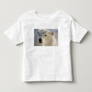 Canada, Manitoba, Hudson Bay Polar Bear Toddler T-Shirt