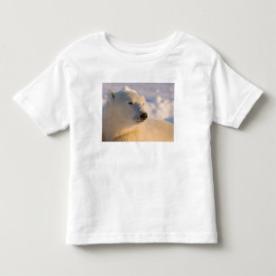 Canada, Manitoba, Hudson Bay Polar Bear Toddler T-Shirt