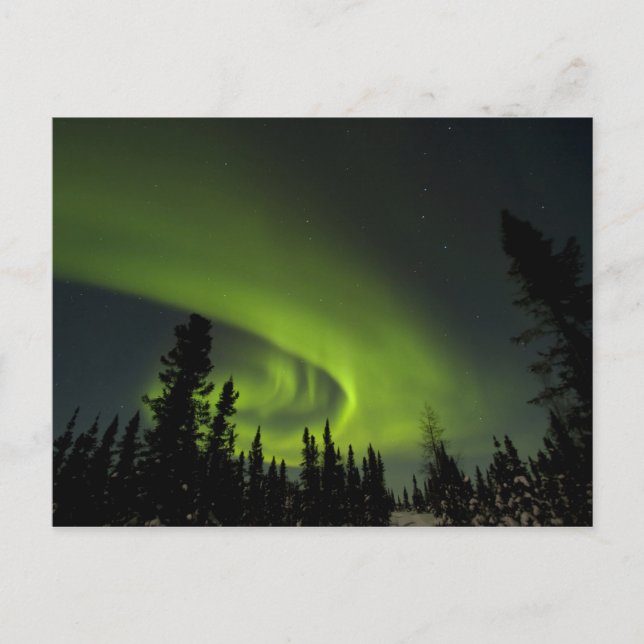 Canada, Manitoba. View of aurora borealis and Postcard (Front)