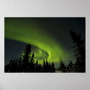 Canada, Manitoba. View of aurora borealis and Poster