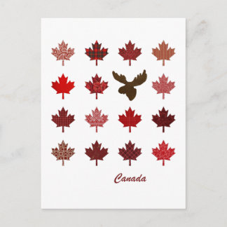 Canada Maple Leaf and Moose postcard