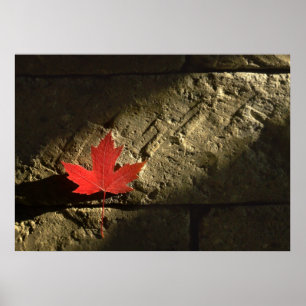 Canada Maple Leaf Poster
