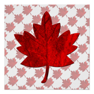 Canada-Maple Leaf Poster