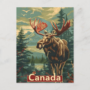 Canada Moose Vintage Postcard