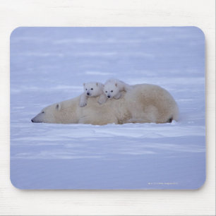 Canada Mouse Mat