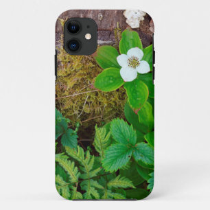Canada, New Brunswick, ,  2 iPhone 11 Case
