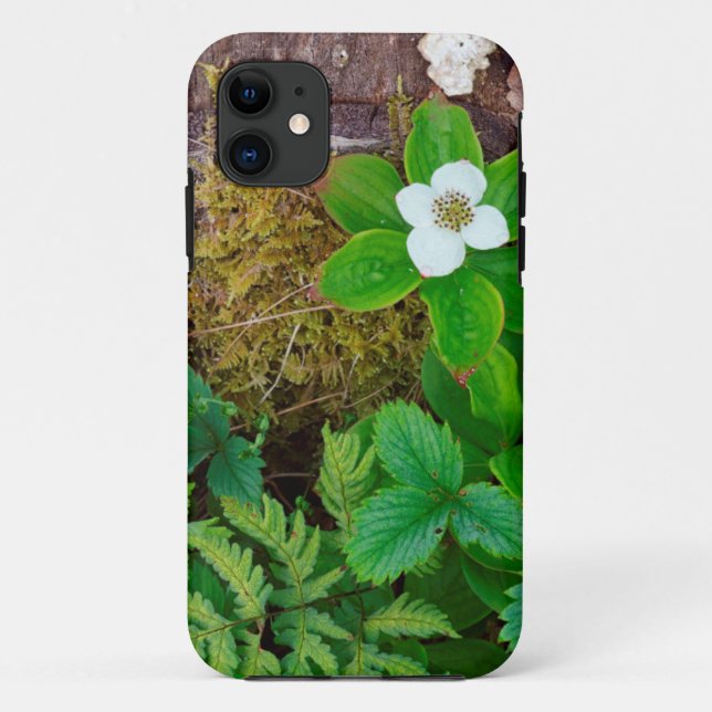 Canada, New Brunswick, ,  2 Case-Mate iPhone Case (Back)