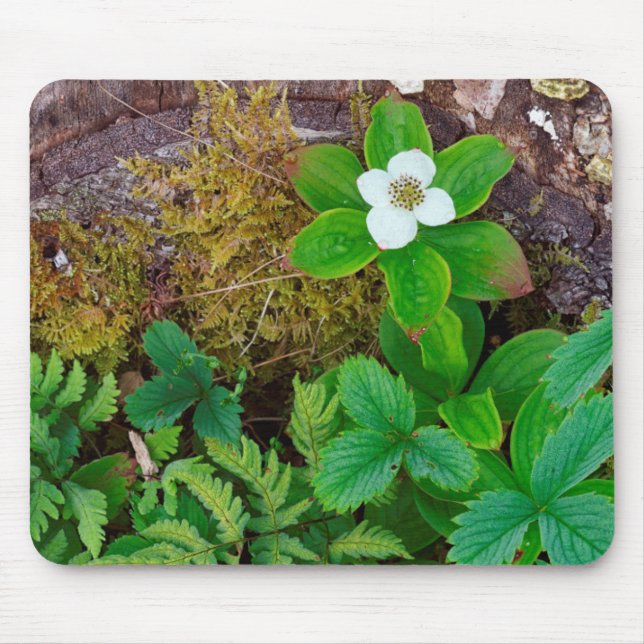Canada, New Brunswick, ,  2 Mouse Mat (Front)