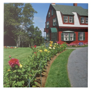 Canada, New Brunswick, Campobello Island. 2 Tile