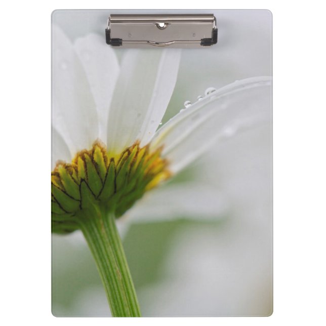 Canada, New Brunswick, Clipboard (Front)