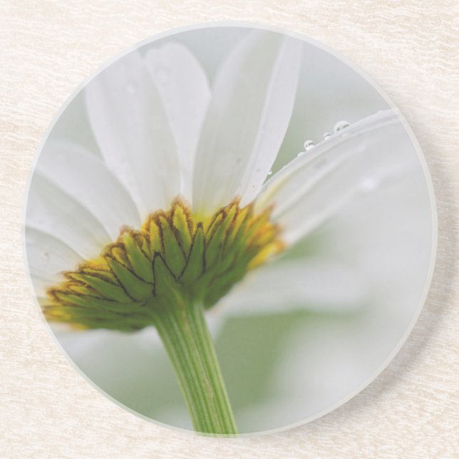 Canada, New Brunswick, Coaster (Front)