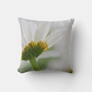 Canada, New Brunswick, Cushion