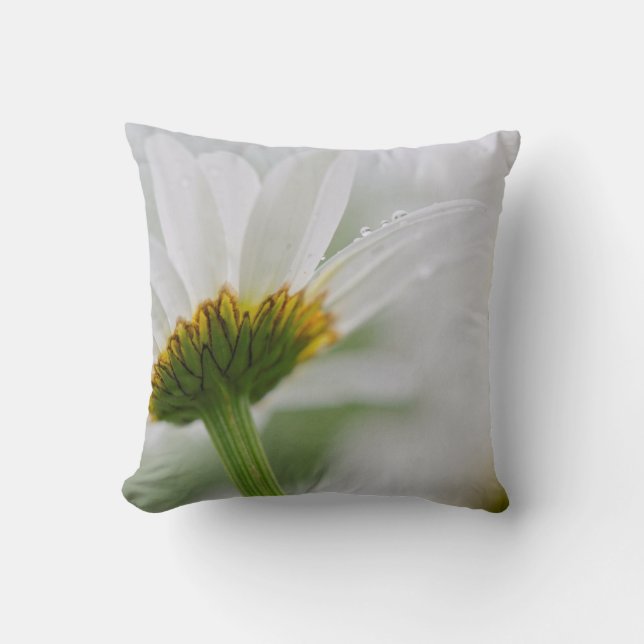 Canada, New Brunswick, Cushion (Front)