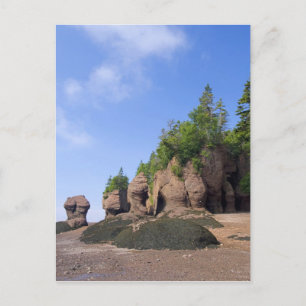 Canada, New Brunswick, Hopewell Cape, Bay of Postcard