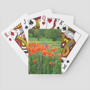 Canada, New Brunswick, . Landscape Playing Cards