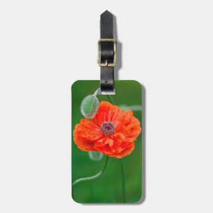 Canada, New Brunswick, , Luggage Tag