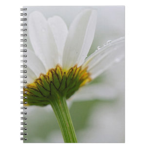 Canada, New Brunswick, Notebook