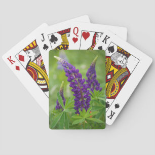Canada, New Brunswick, . Playing Cards