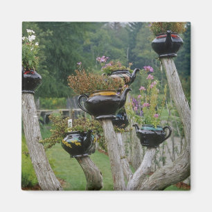 Canada, New Brunswick, St Andrews. Teapots Magnet