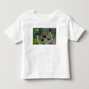 Canada, New Brunswick, St Andrews. Teapots Toddler T-Shirt