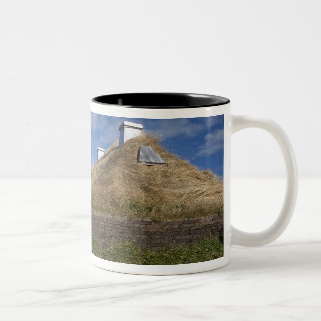 Canada, Newfoundland and Labrador, L'Anse Aux 4 Two-Tone Coffee Mug (Right)