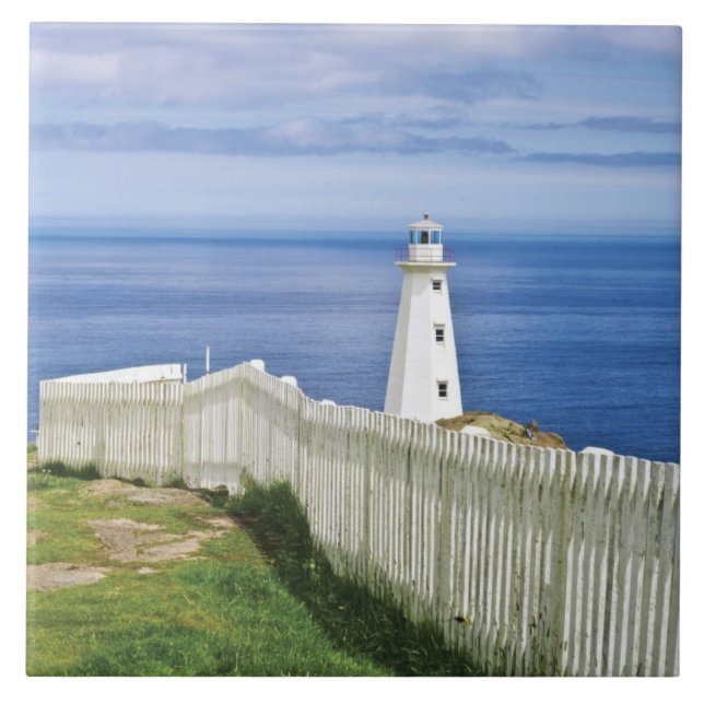 Canada, Newfoundland, Cape Spear National 2 Tile (Front)
