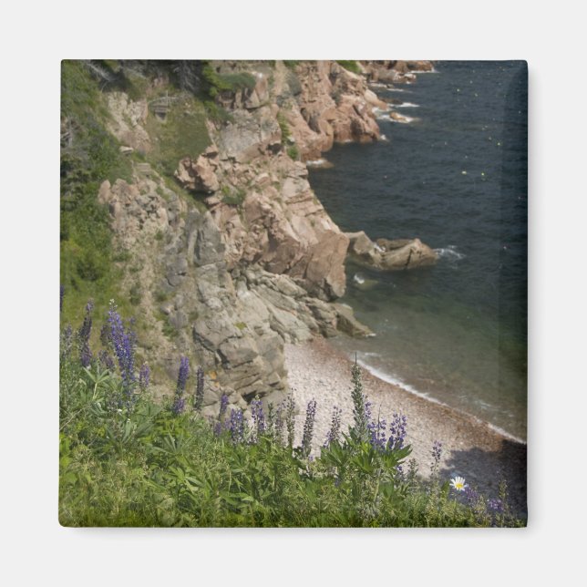 Canada, Nova Scotia, Cape Breton Island, Cabot 3 Magnet (Front)