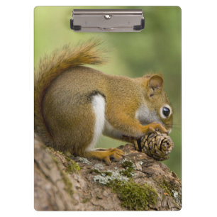 Canada, Nova Scotia, Halifax. Public Gardens, Clipboard