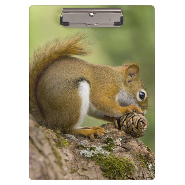 Canada, Nova Scotia, Halifax. Public Gardens, Clipboard (Front)