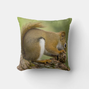 Canada, Nova Scotia, Halifax. Public Gardens, Cushion