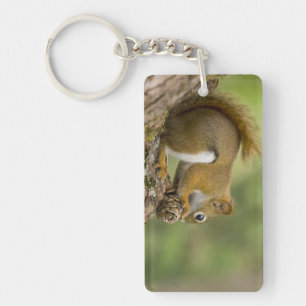 Canada, Nova Scotia, Halifax. Public Gardens, Key Ring