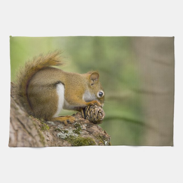 Canada, Nova Scotia, Halifax. Public Gardens, Tea Towel (Horizontal)