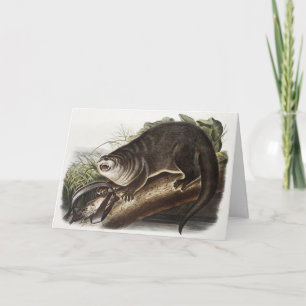 Canada Otter (Lutra Canadensis) Illustration Card