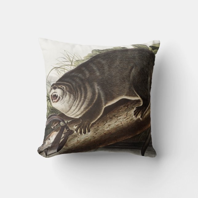 Canada Otter (Lutra Canadensis) Illustration Cushion (Front)