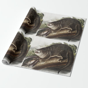 Canada Otter (Lutra Canadensis) Illustration Wrapping Paper