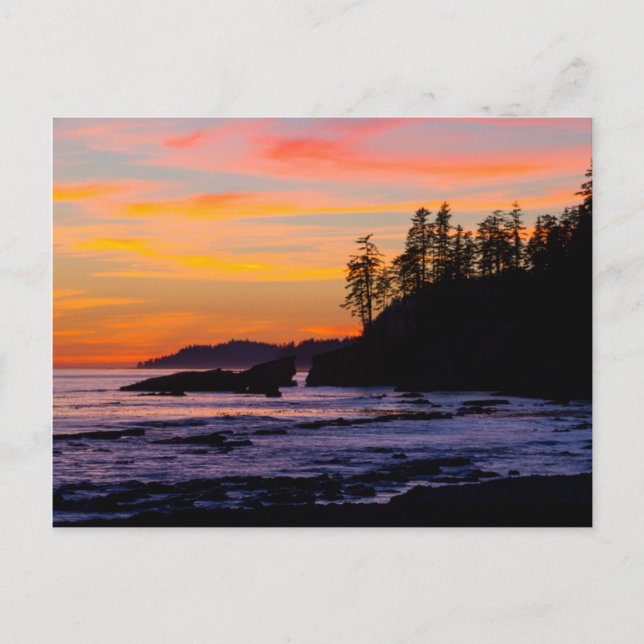 Canada, Pacific Rim National Park Reserve, West Postcard (Front)